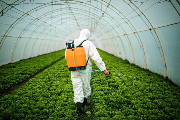 Best Pest Control Near Me  in Millen, GA