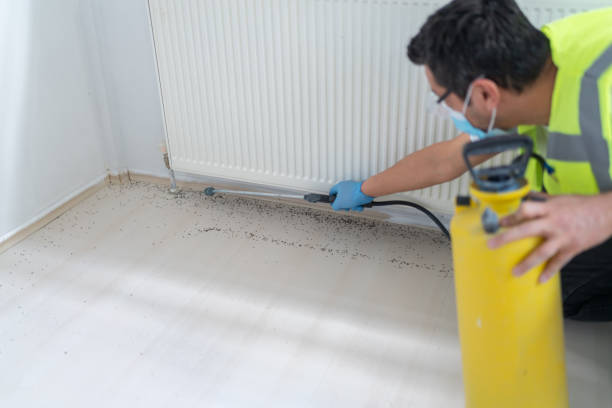 Best Affordable Pest Control Services  in Millen, GA
