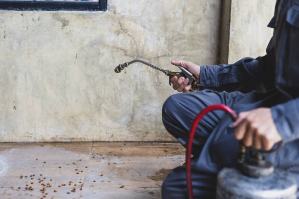 Best Mosquito Control Services  in Millen, GA