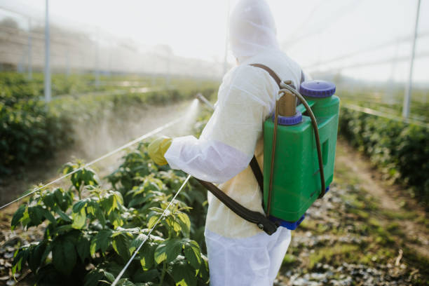 Best Local Pest Control Services  in Millen, GA